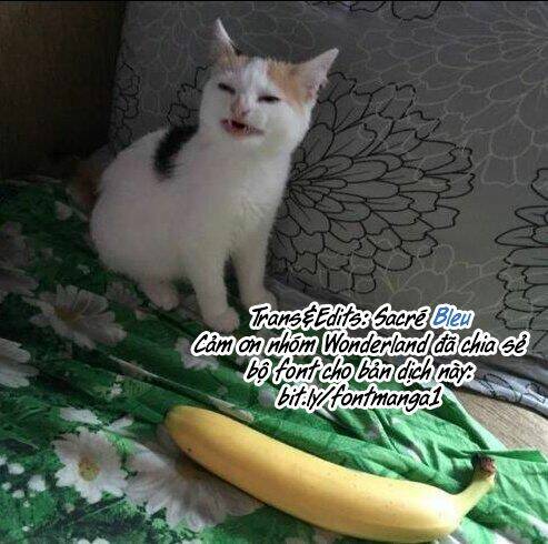 Suicide Parabellum: Chapter 6