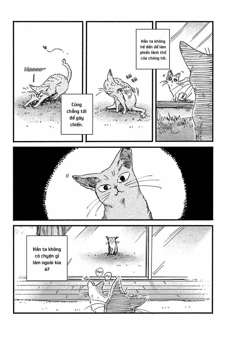 Nekodamari: Chapter 6