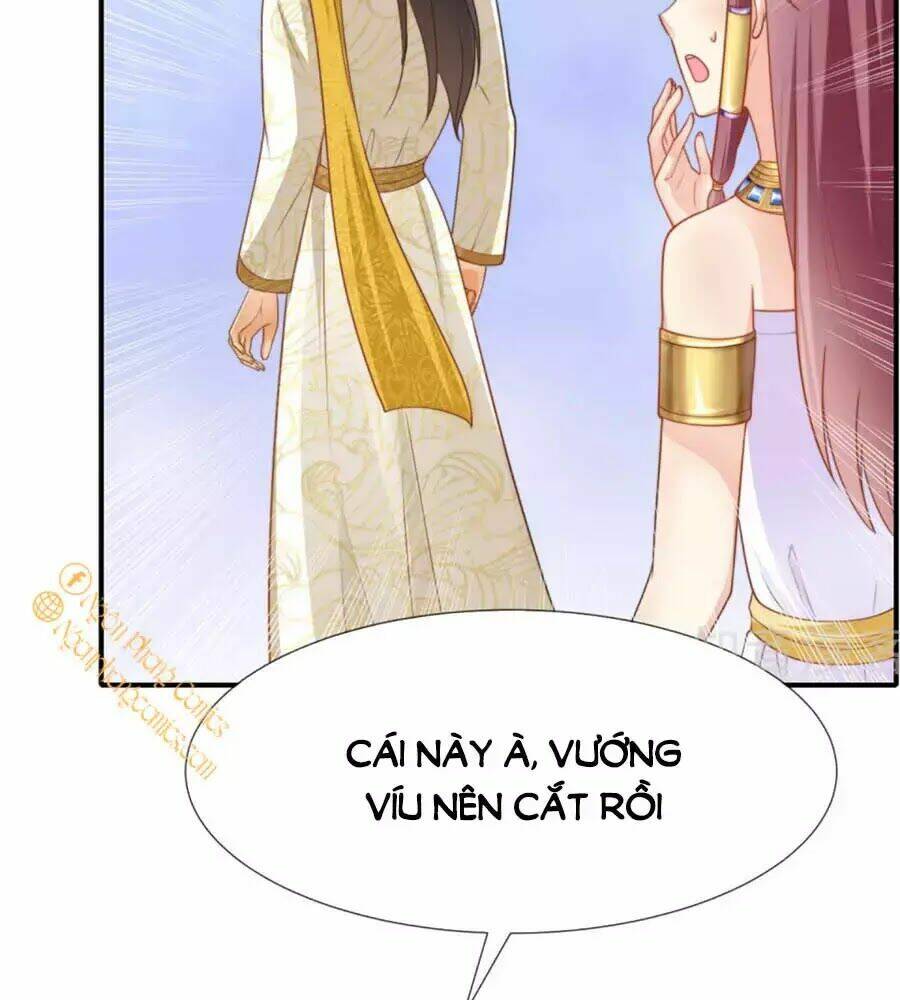Sủng Hậu Của Vương: Chapter 25