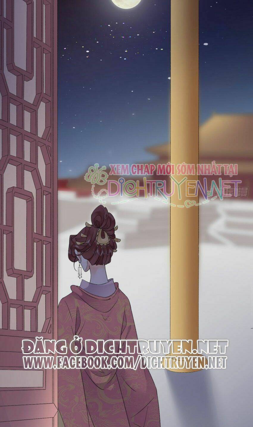 Tang Lạc Túy Tại Nam Phong Lý: Chapter 40