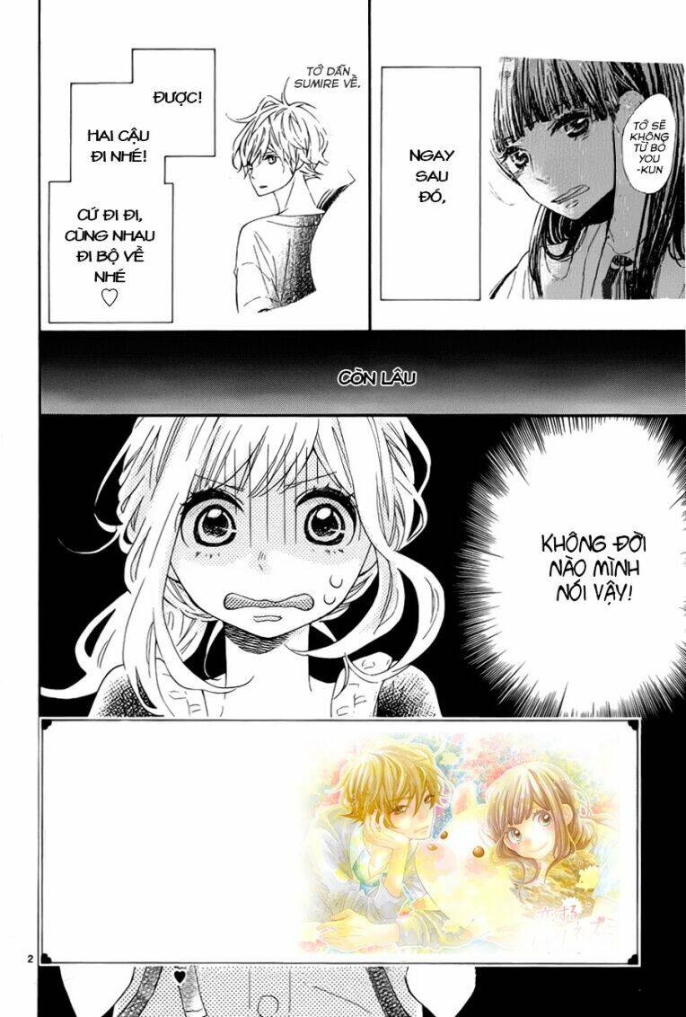 Koisuru Harinezumi: Chapter 16