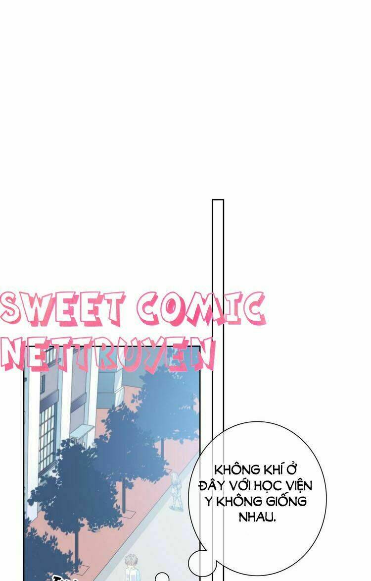 Vấp Phải Nghịch Quang: Chapter 2