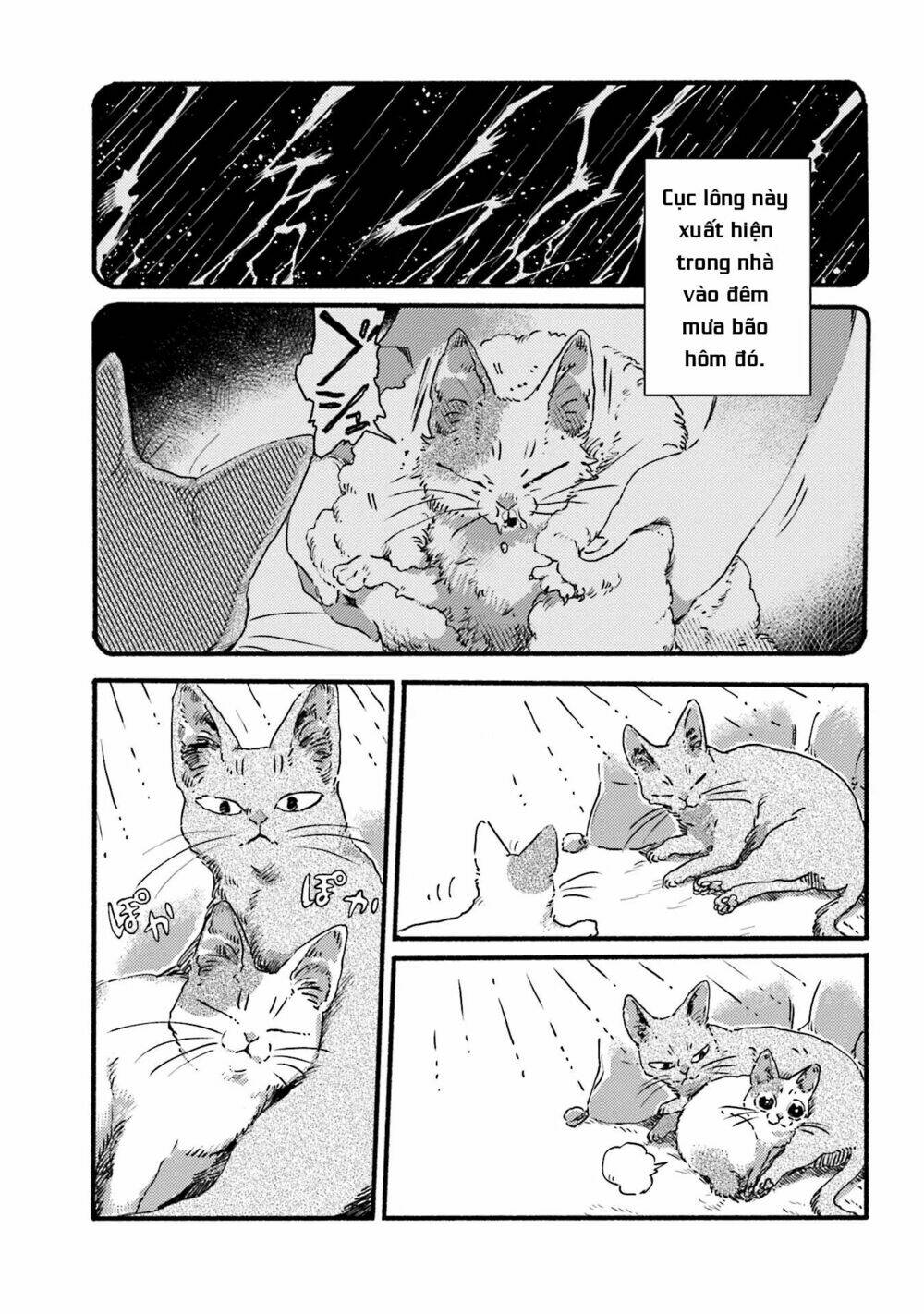Nekodamari: Chapter 3