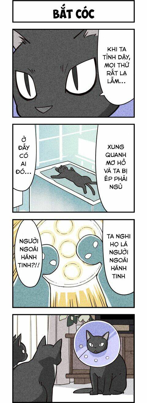 We Are Cat: Chapter 9