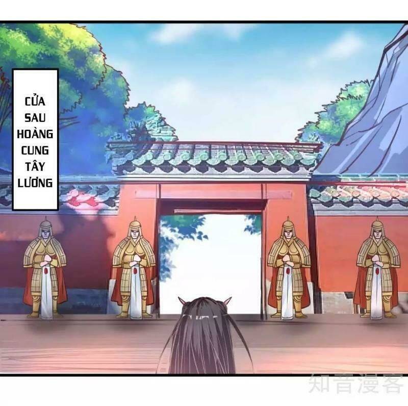 Tối Cường Đại Biểu Hoàng Kim Thận: Chapter 81
