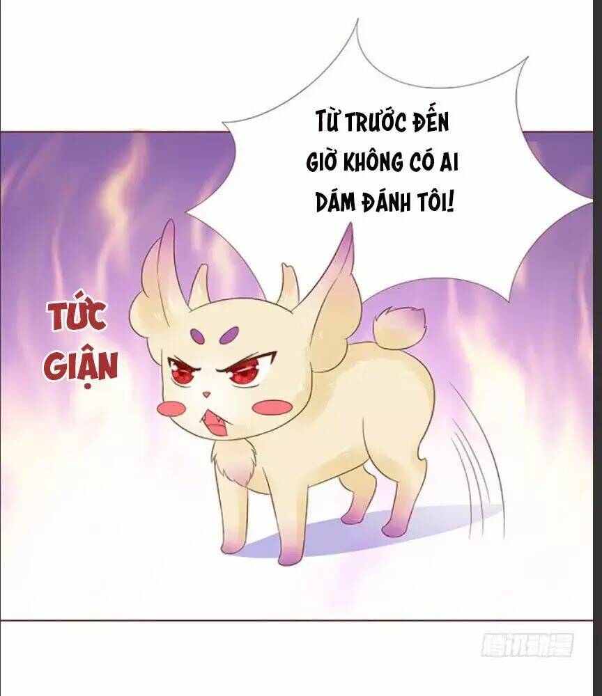 Ma Vương Luyến Ái Chỉ Nam: Chapter 114