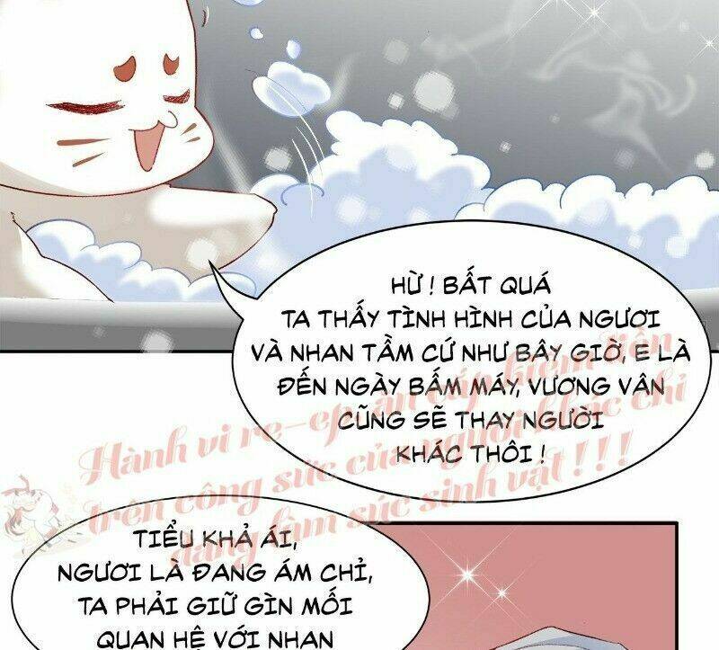Ảnh Đế Yêu Hồ: Chapter 39