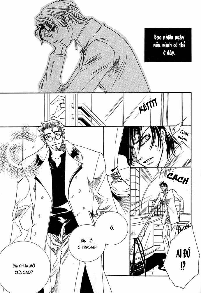 Innocent Bird: Chapter 3