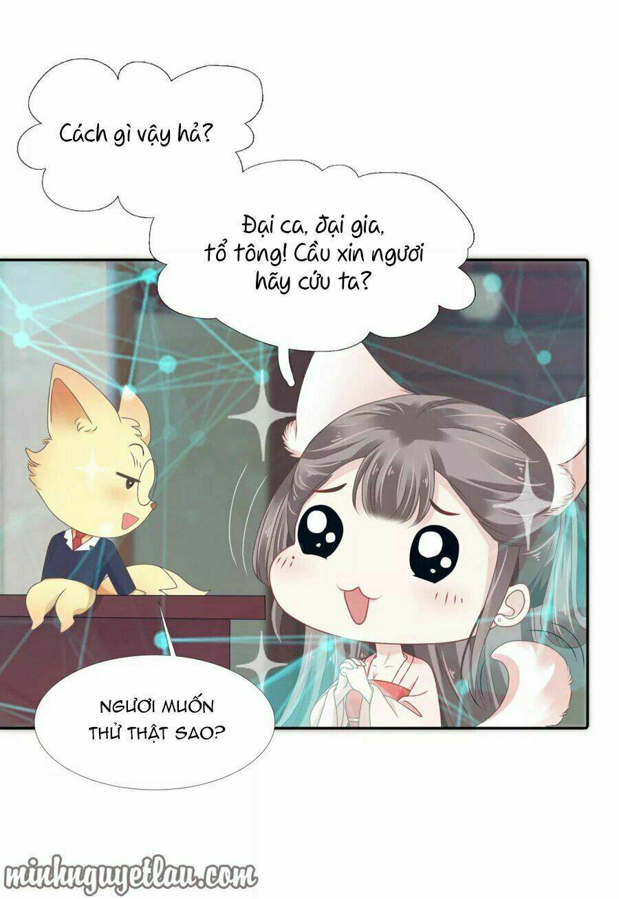 Phú Bà Bạc Tỷ Trong Lãnh Cung: Chapter 12