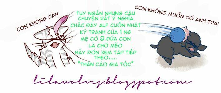 My Young Cat And My Old Dog: Chapter 3