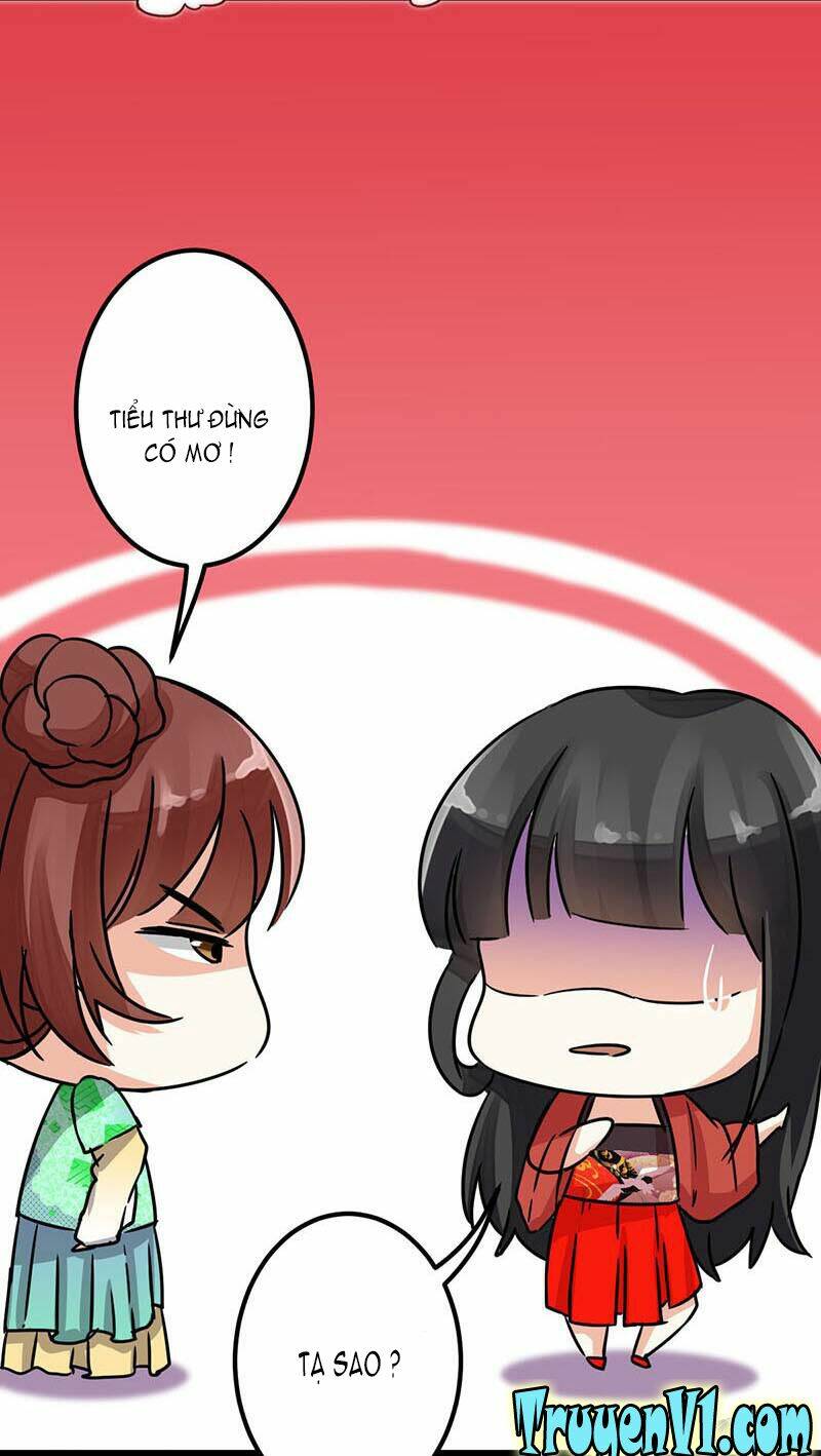 Vương Gia! Ngươi Thật Bỉ Ổi: Chapter 7