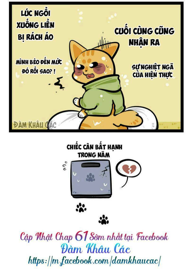 Đời Không Như Mình Tưởng: Chapter 60