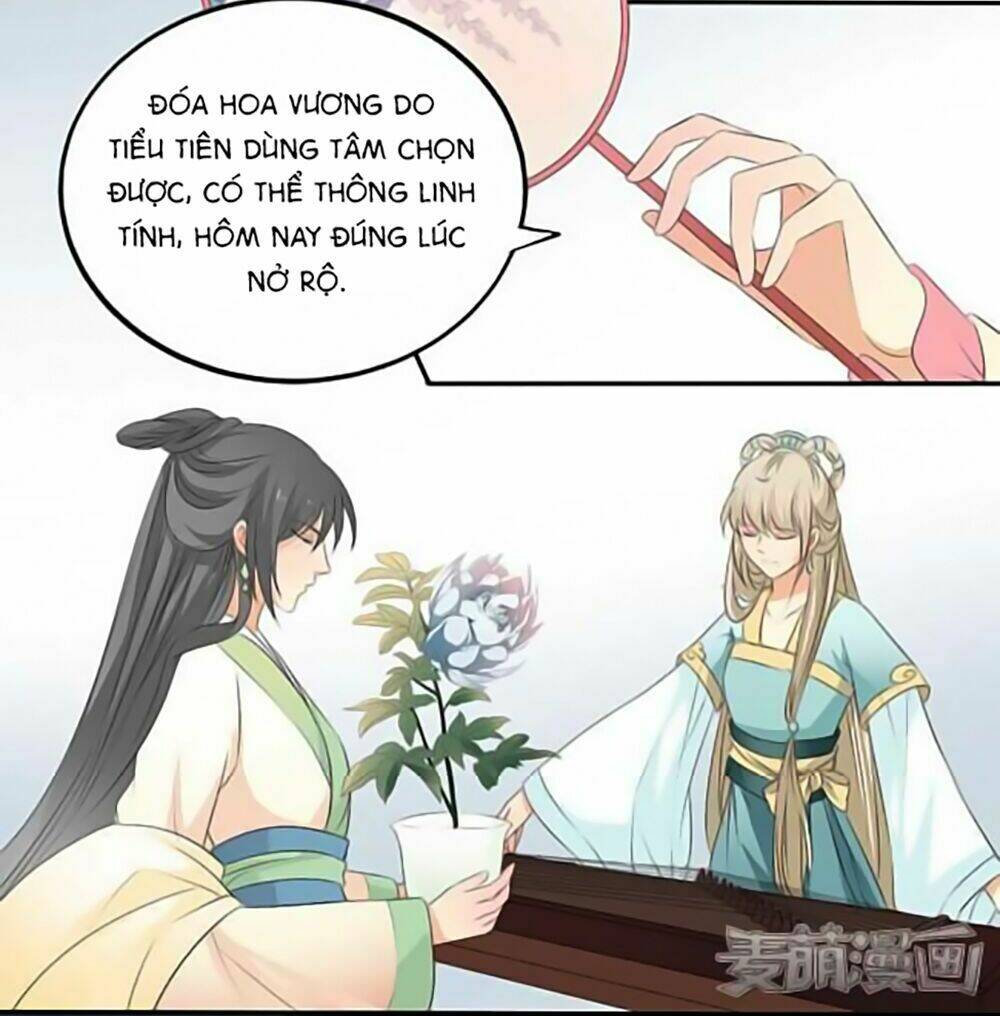 Quy Tự Dao: Chapter 15