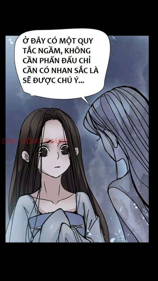 Michin Phù Thủy Tái Sinh: Chapter 9