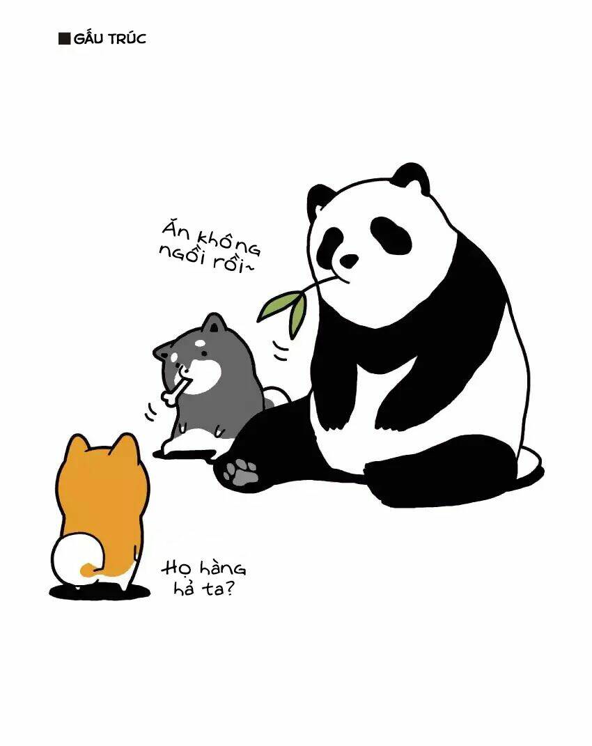 Taru Shiba: Chapter 4