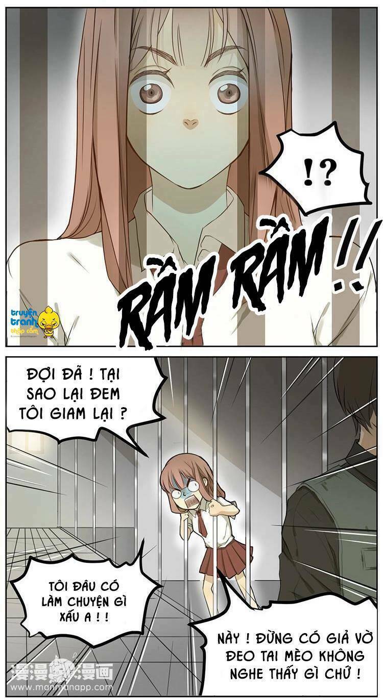 Cứu Mạng! Loài Mèo Thống Trị Thế Giới Rồi!: Chapter 2