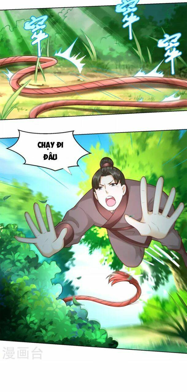 Chí Tôn Trọng Sinh: Chapter 143