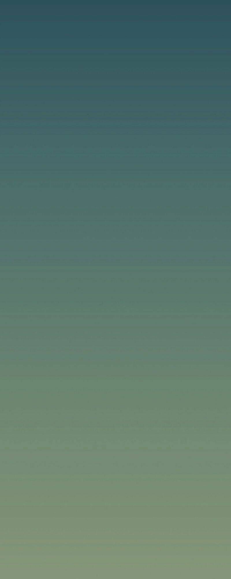 Yến Sơn Phái Và Bách Hoa Môn: Chapter 11