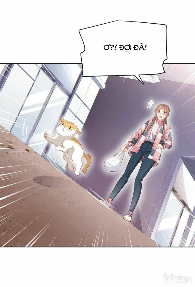 Khi Trá Luyến Nhân: Chapter 63