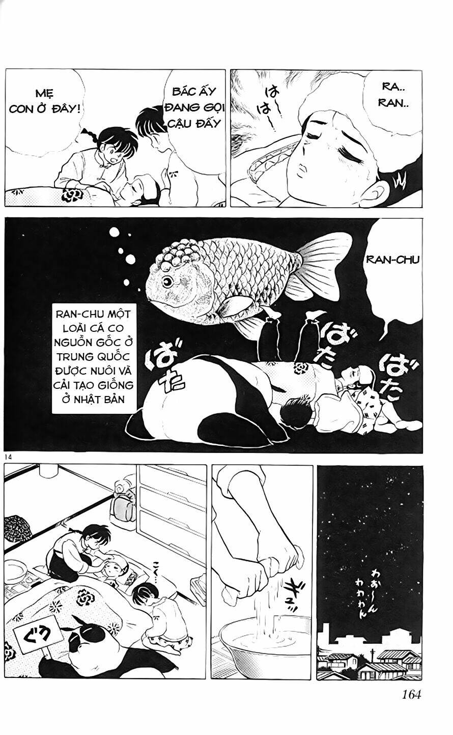 Suối Lời Nguyền: Chapter 321