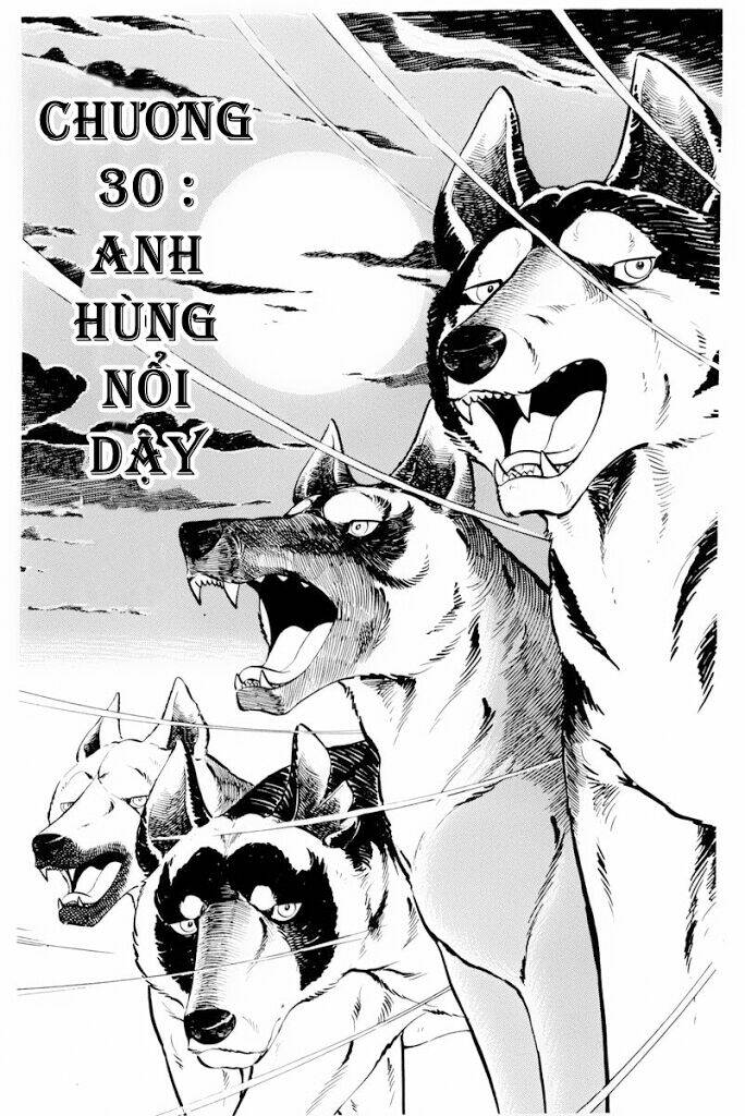 Chú Chó Có Nghĩa - Ginga Nagareboshi Gin: Chapter 30.1