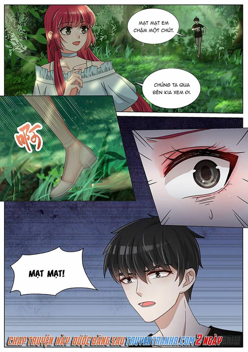 Vương Bài Giáo Thảo: Chapter 214