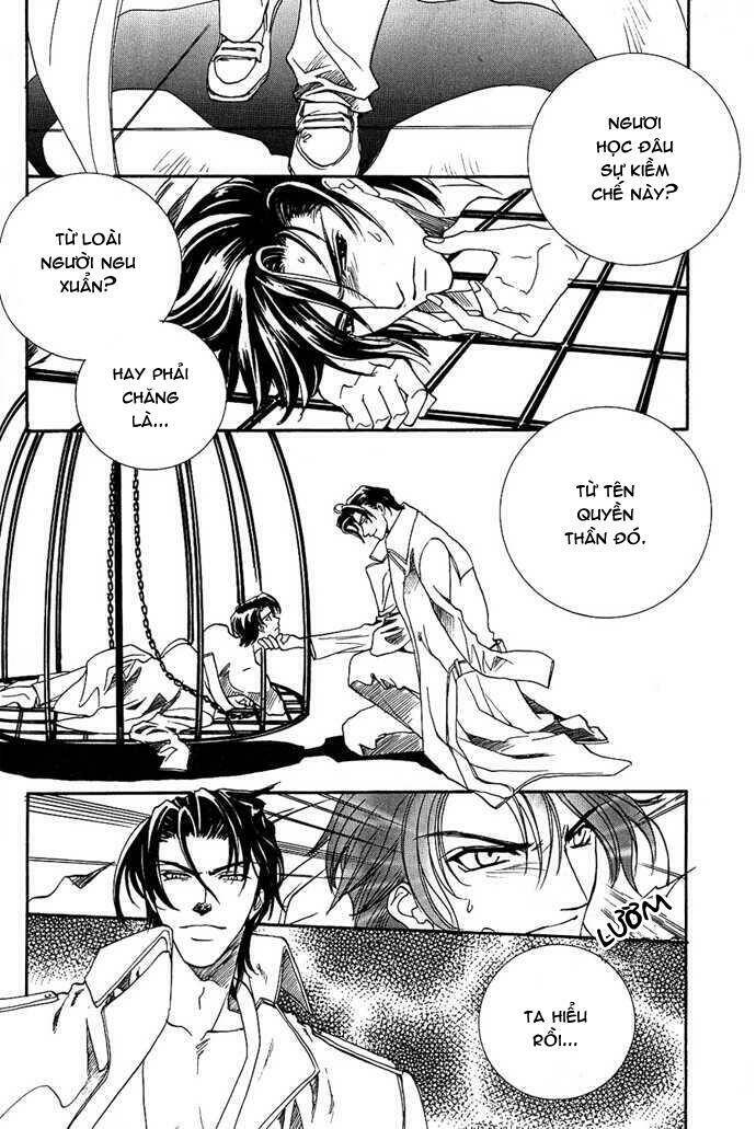 Innocent Bird: Chapter 4