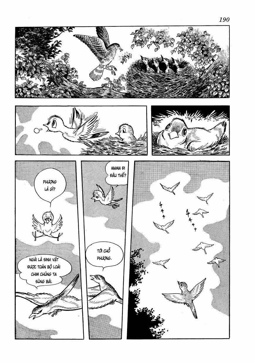 Chim Lửa: Chapter 48