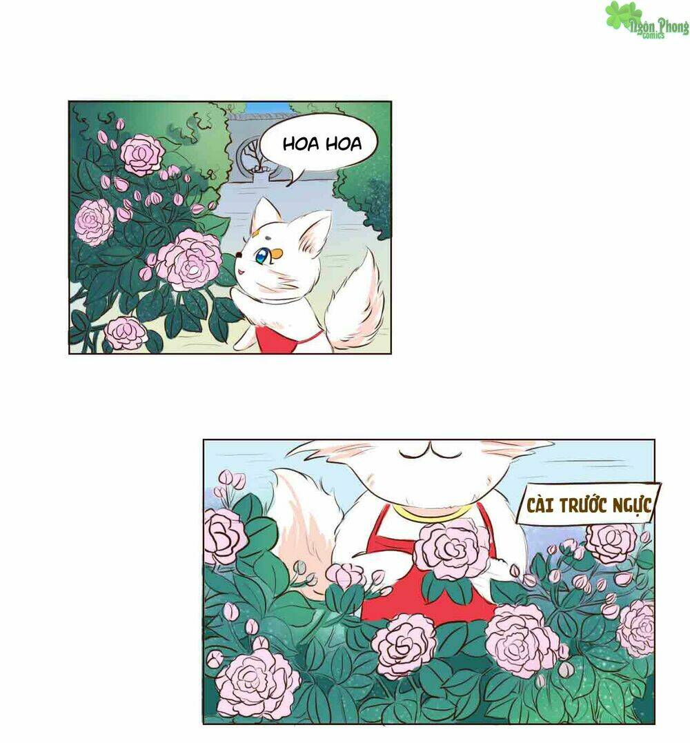 Mẫu Phi Đuôi Của Người Lộ Ra Rồi Kìa: Chapter 4