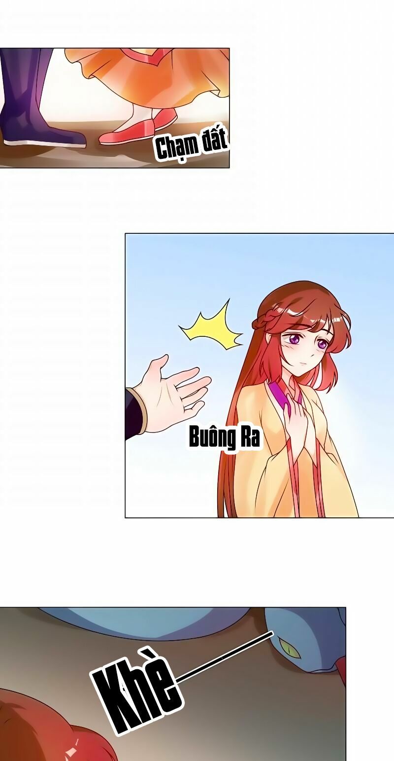 Thiên Tài Tiểu Độc Phi: Chapter 52