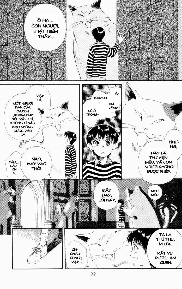 Lời Thì Thầm Từ Trái Tim: Chapter 5