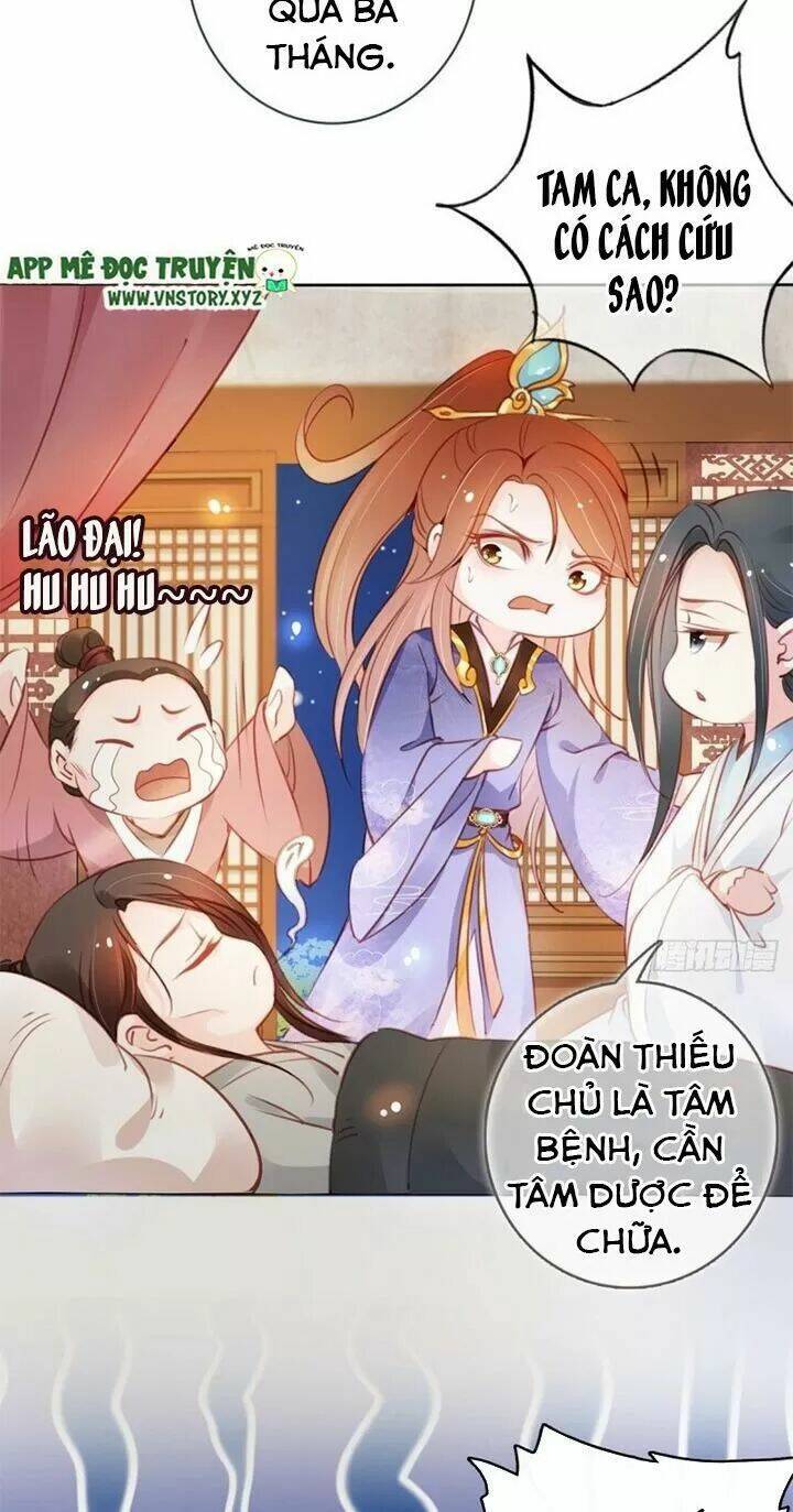 Nàng Trở Thành Bạch Nguyệt Quang Của Vương Gia Bệnh Kiều: Chapter 42