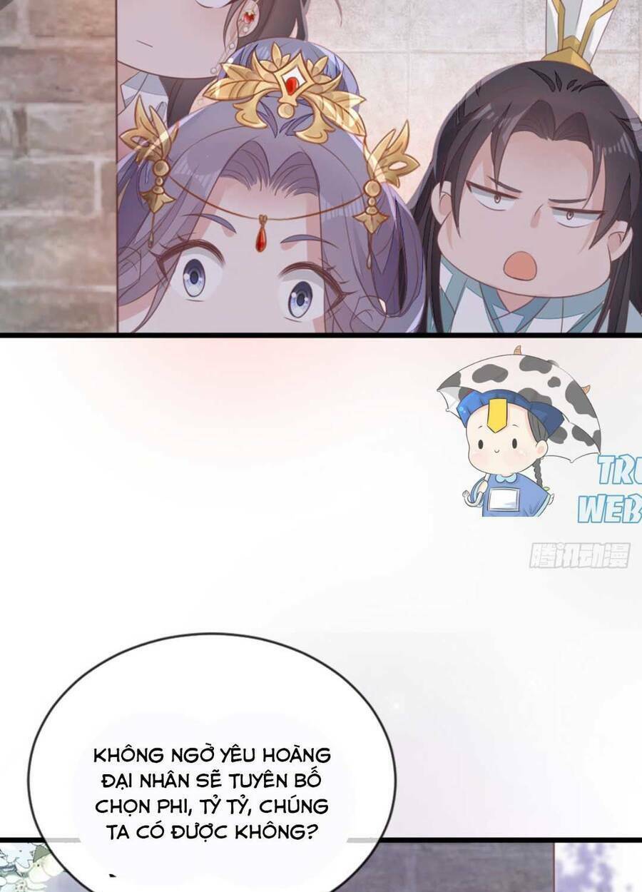 Mau Xuyên Không Rửa Tội Cho Nhân Vật Phản Diện: Chapter 114