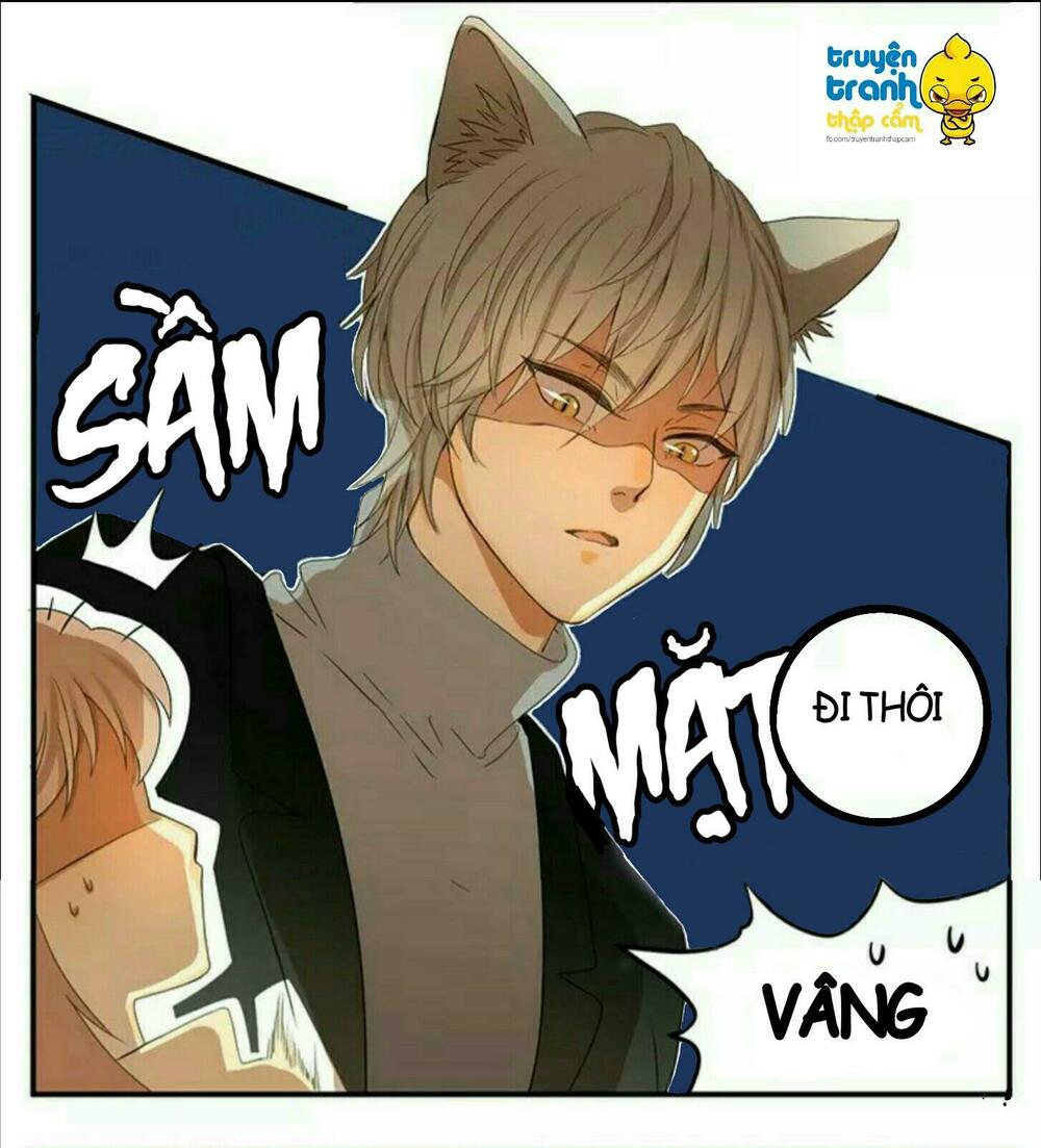 Cứu mạng ! Loài mèo thống trị thế giới rồi !: Chapter 38