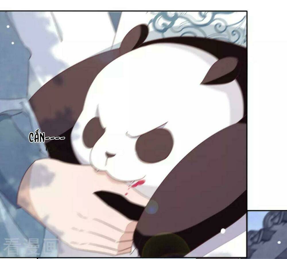 Xuyên Về Cổ Đại Làm Quốc Bảo: Chapter 8