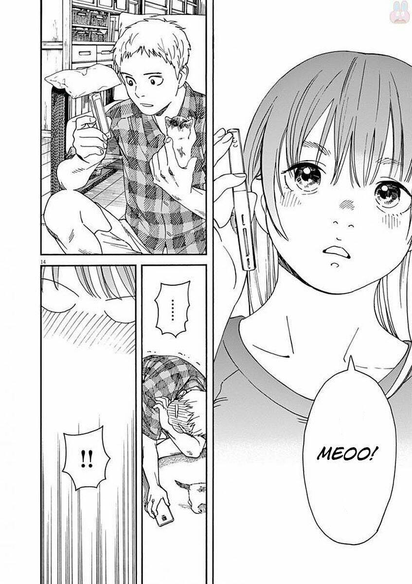 Neko No Otera No Chion-San: Chapter 47