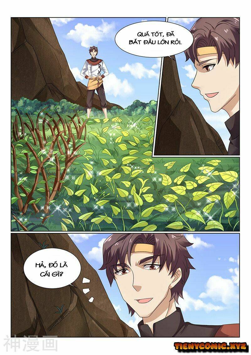 Siêu Cấp Thần Y Hệ Thống: Chapter 72