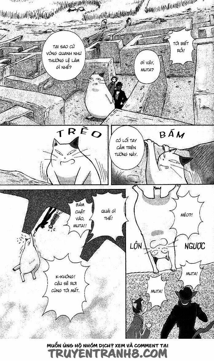 Lời Thì Thầm Từ Trái Tim: Chapter 8