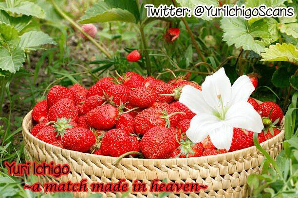 Hino-San No Baka: Chapter 27