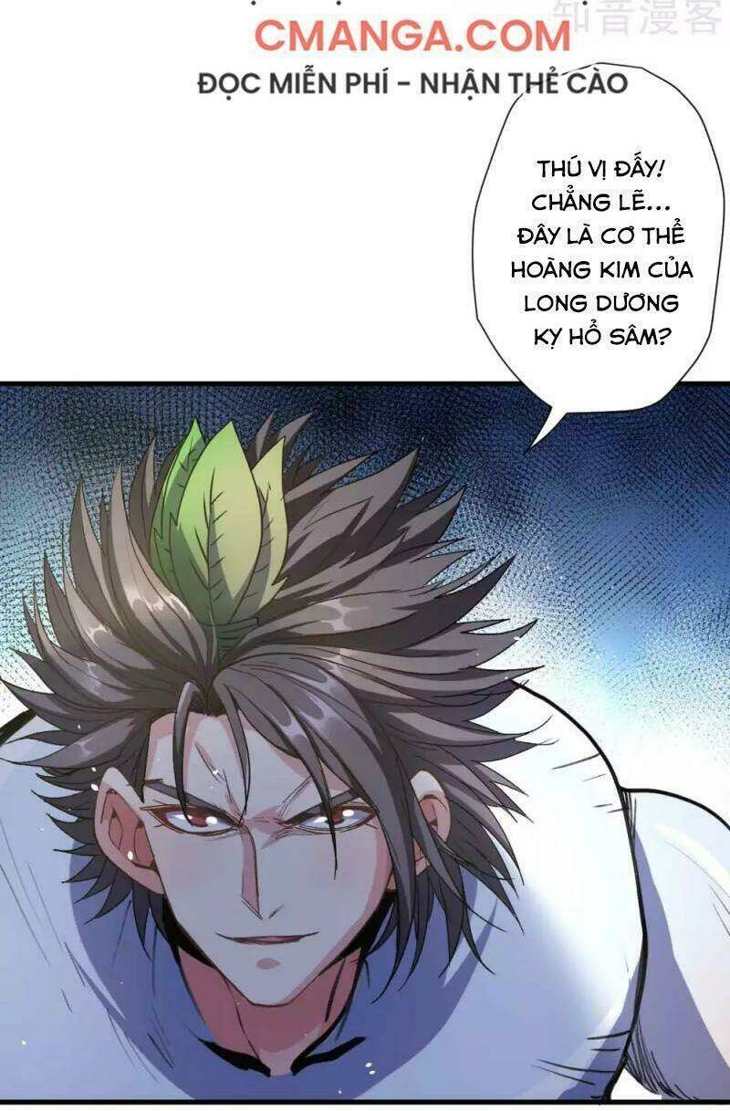 Tối Cường Đại Biểu Hoàng Kim Thận: Chapter 109