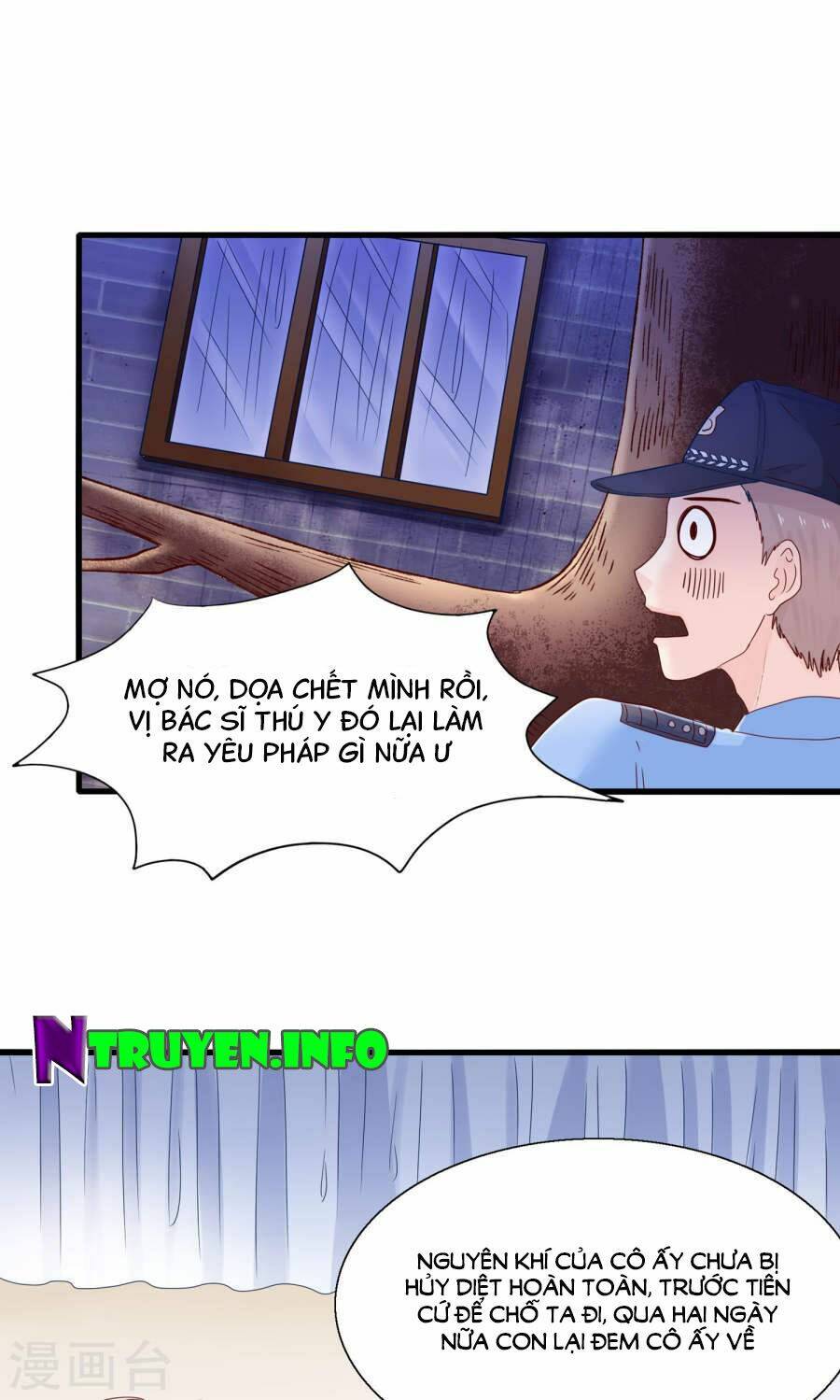 Tôi Bị Gấu Trúc Nhìn Trúng Rồi: Chapter 13