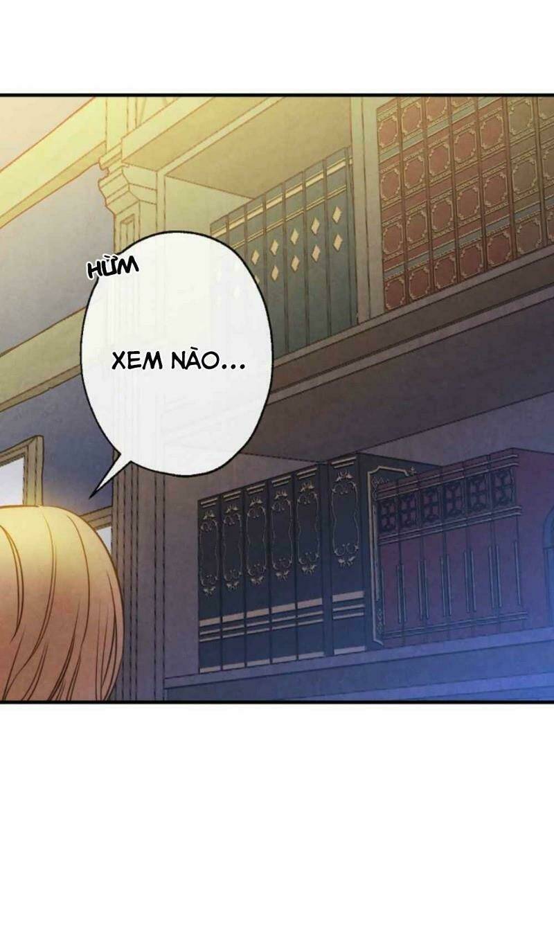 Hoàng Phi Bóng Tối: Chapter 3