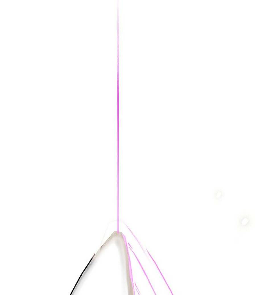 Hard Core Leveling Warrior Ss2: Chapter 129