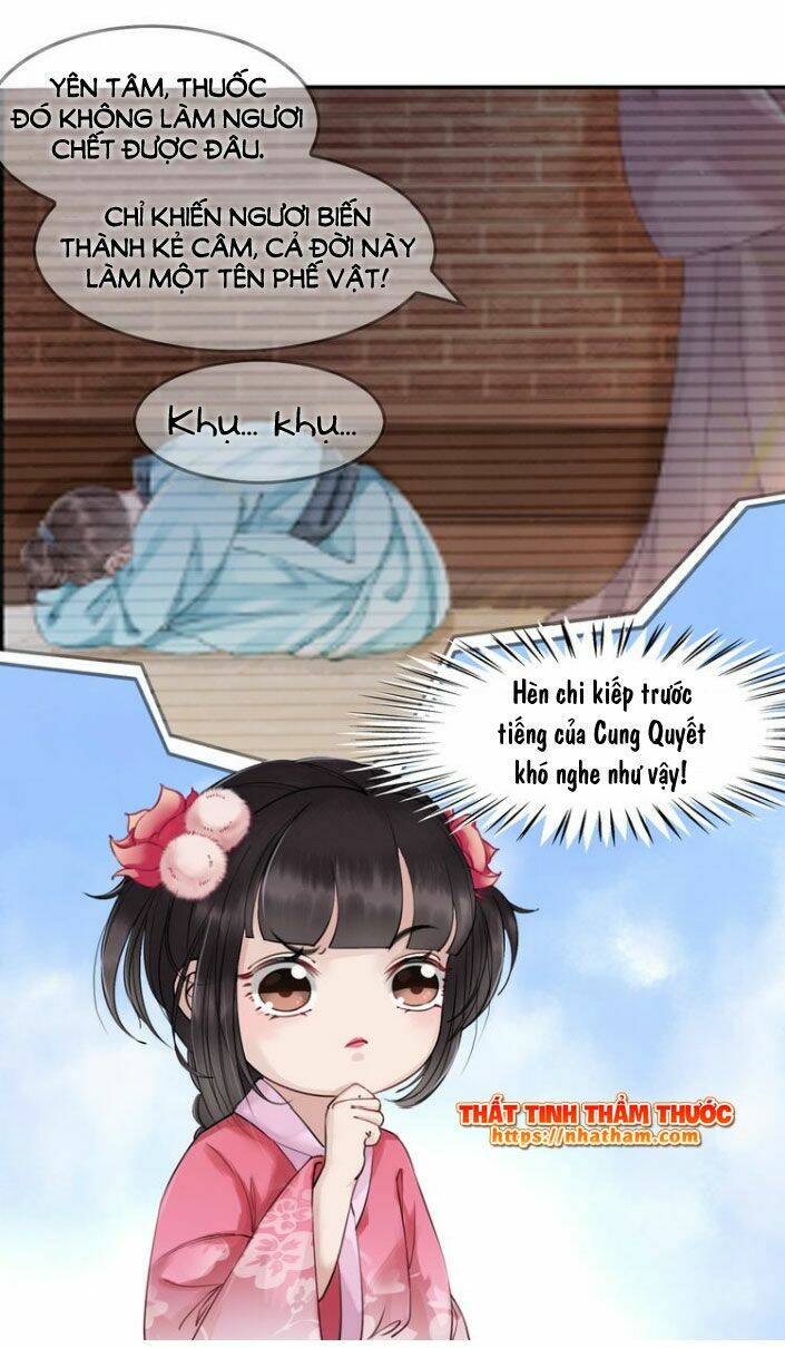 Trọng Sinh Bá Sủng Nhiếp Chính Vương Quá Mạnh Mẽ: Chapter 2