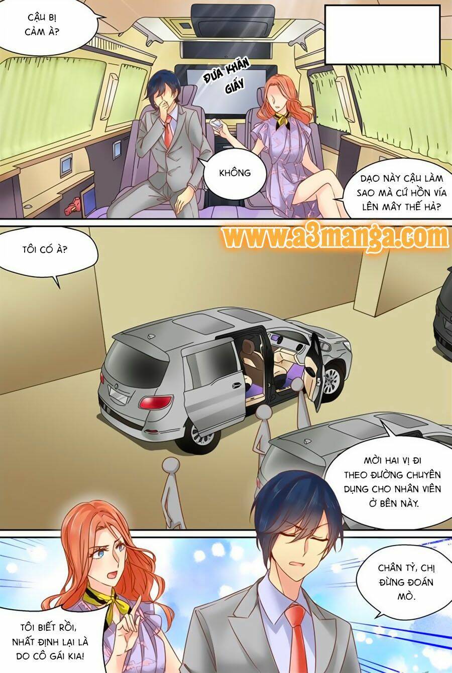 Lưu Luyến Tinh Diệu: Chapter 5