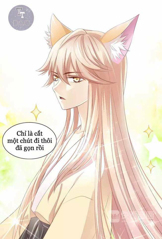 Dưới Móng Vuốt Mèo: Chapter 17