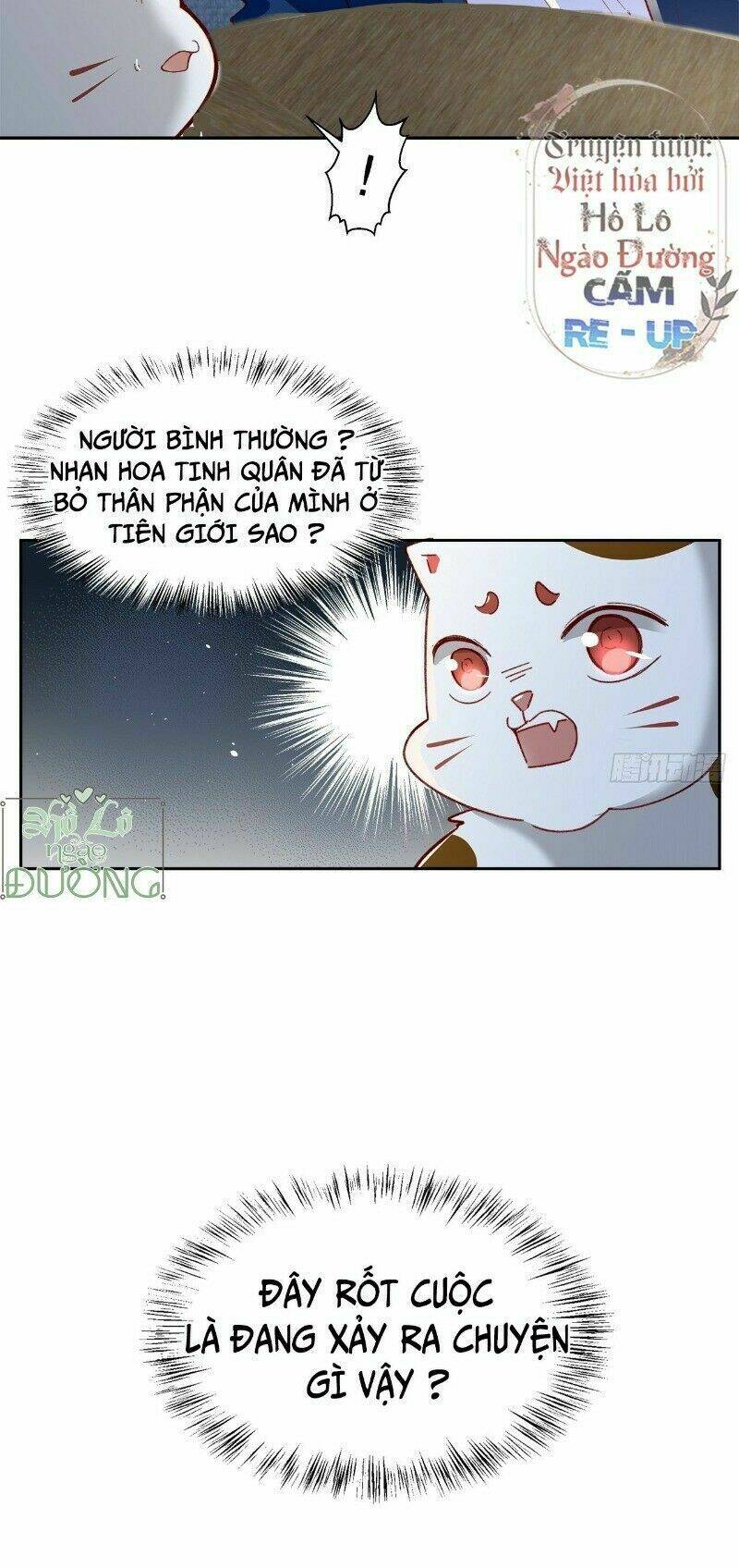 Ảnh Đế Yêu Hồ: Chapter 47