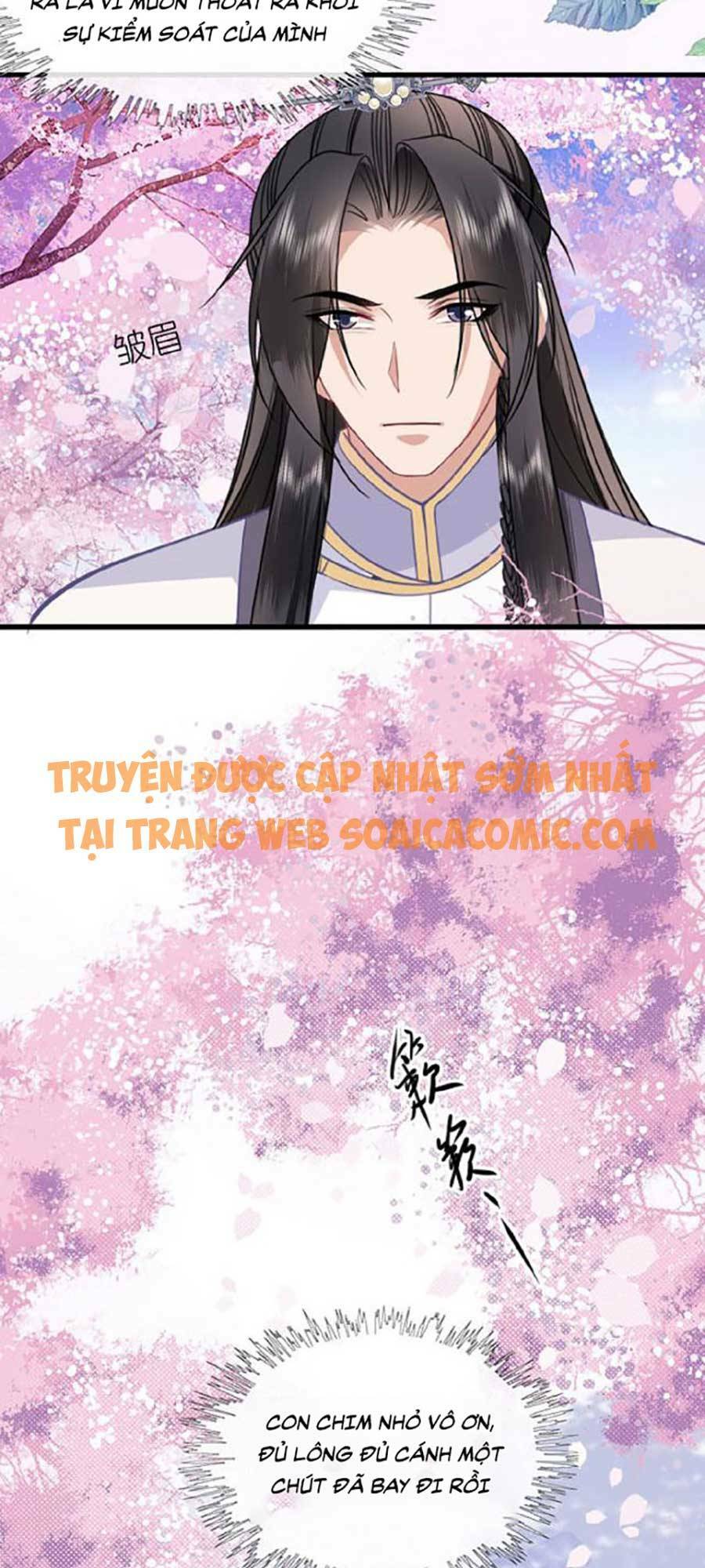 Tướng Quân, Bổn Phi Không Nhận Sủng: Chapter 11