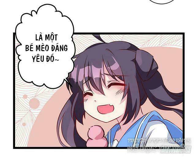 Gửi Người Không Quen: Chapter 12