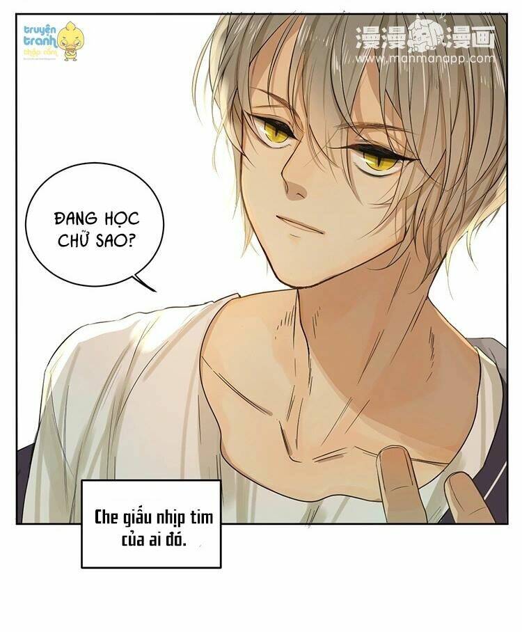 Cứu Mạng! Loài Mèo Thống Trị Thế Giới Rồi!: Chapter 13